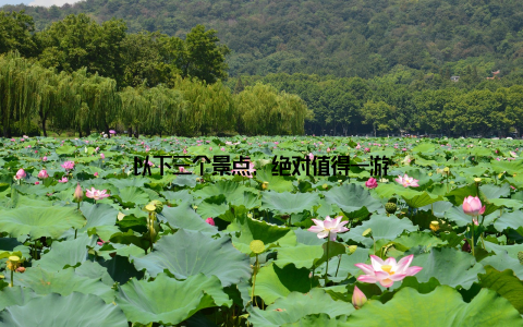 以下三个景点, 绝对值得一游