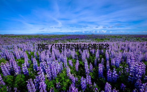 别忘了与好莱坞标志合影留念