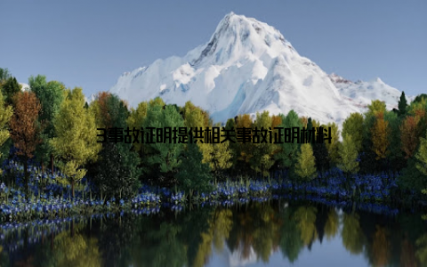 3事故证明提供相关事故证明材料