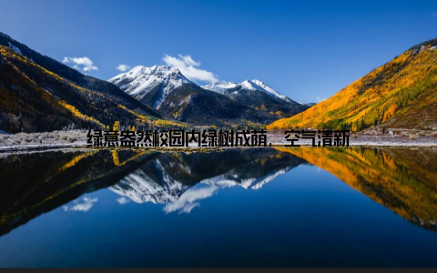 绿意盎然校园内绿树成荫, 空气清新