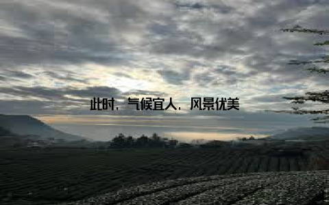 此时, 气候宜人, 风景优美