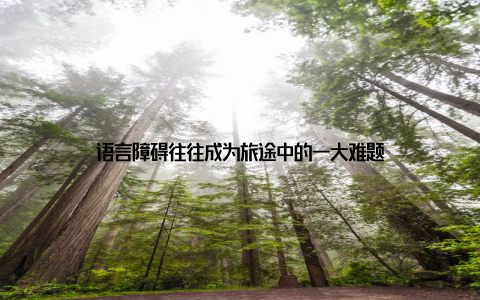 语言障碍往往成为旅途中的一大难题