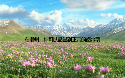 在潮州, 你可以品尝到正宗的卤水鹅