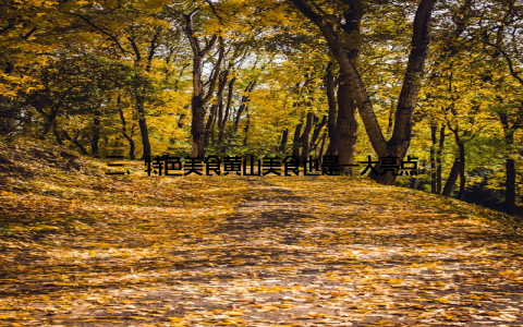 三、特色美食黄山美食也是一大亮点