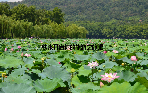 快来开启你的旅游之旅吧!