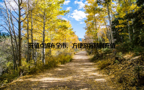 充值点遍布全市, 方便游客随时充值