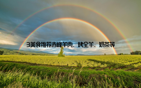 3美食推荐赤峰羊肉、烤全羊、奶茶等