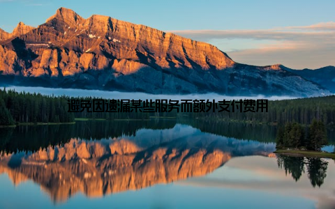 避免因遗漏某些服务而额外支付费用