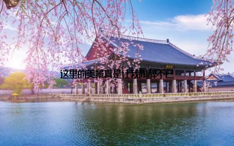 这里的美景真是让我陶醉不已