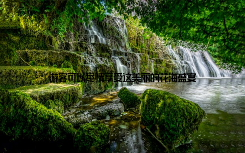 游客可以尽情享受这美丽的花海盛宴