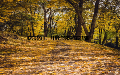 快来岱山, 开启你的海岛之旅吧!