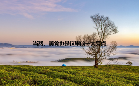 当然, 美食也是这里的一大亮点