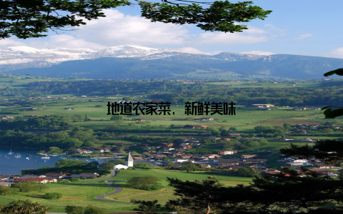 地道农家菜, 新鲜美味