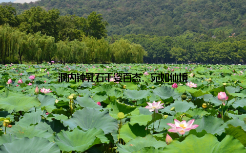 洞内钟乳石千姿百态, 宛如仙境