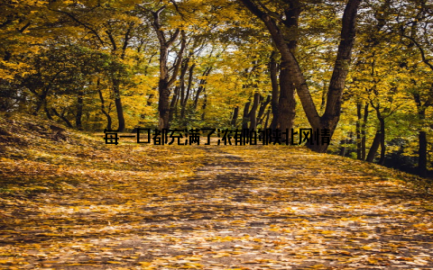 每一口都充满了浓郁的陕北风情