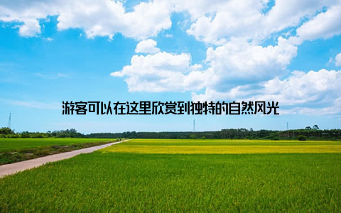 游客可以在这里欣赏到独特的自然风光