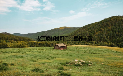 – 老豆腐鲜嫩可口, 营养丰富