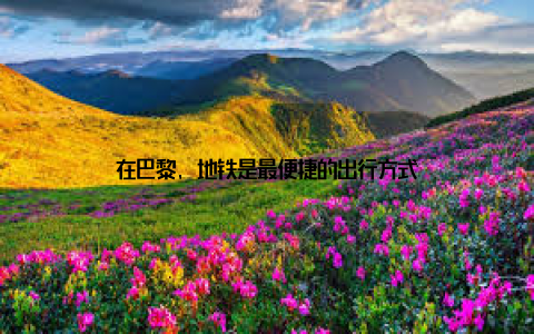 在巴黎, 地铁是最便捷的出行方式