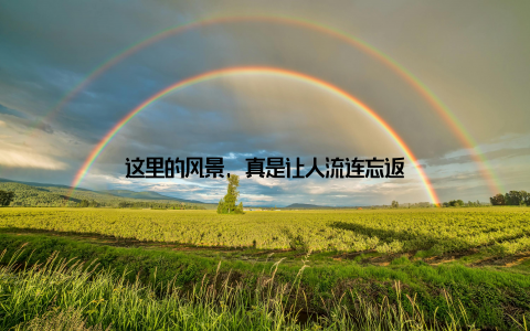 这里的风景, 真是让人流连忘返