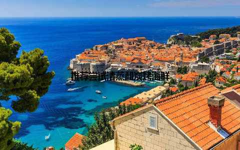 推荐尝试清蒸和炭烤海鲜