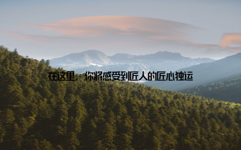 在这里, 你将感受到匠人的匠心独运