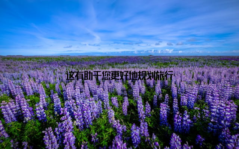 这有助于您更好地规划旅行