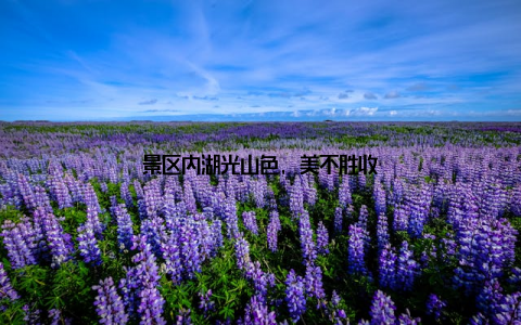 景区内湖光山色, 美不胜收