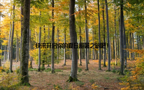 快来开启你的夏日避暑之旅吧!
