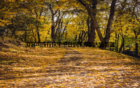 游客可以在这里感受到浓厚的古城氛围