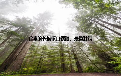 这里的长城依山傍海, 景色壮观