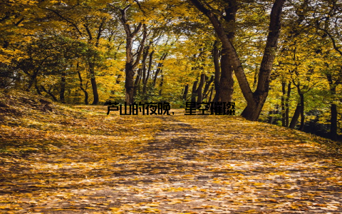 芦山的夜晚, 星空璀璨