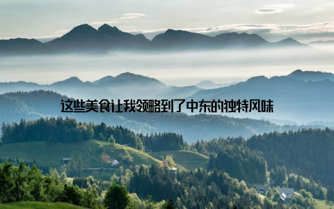 这些美食让我领略到了中东的独特风味