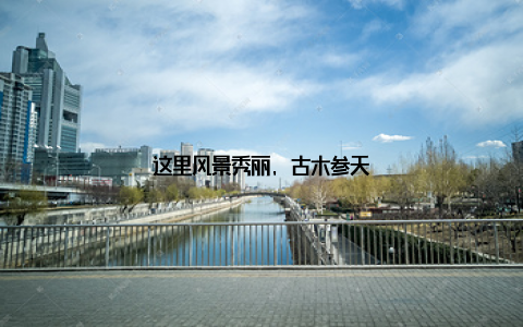 这里风景秀丽, 古木参天