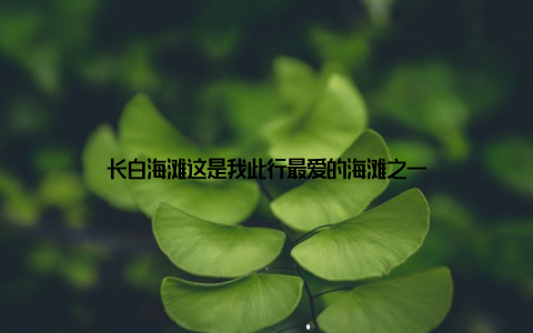 长白海滩这是我此行最爱的海滩之一