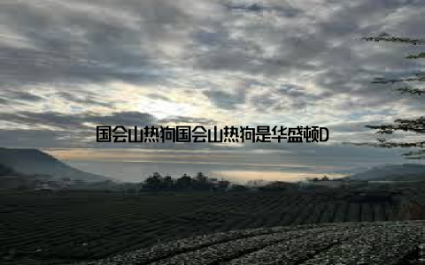 国会山热狗国会山热狗是华盛顿D