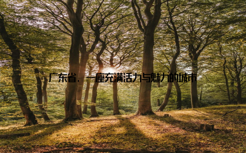 广东省, 一座充满活力与魅力的城市